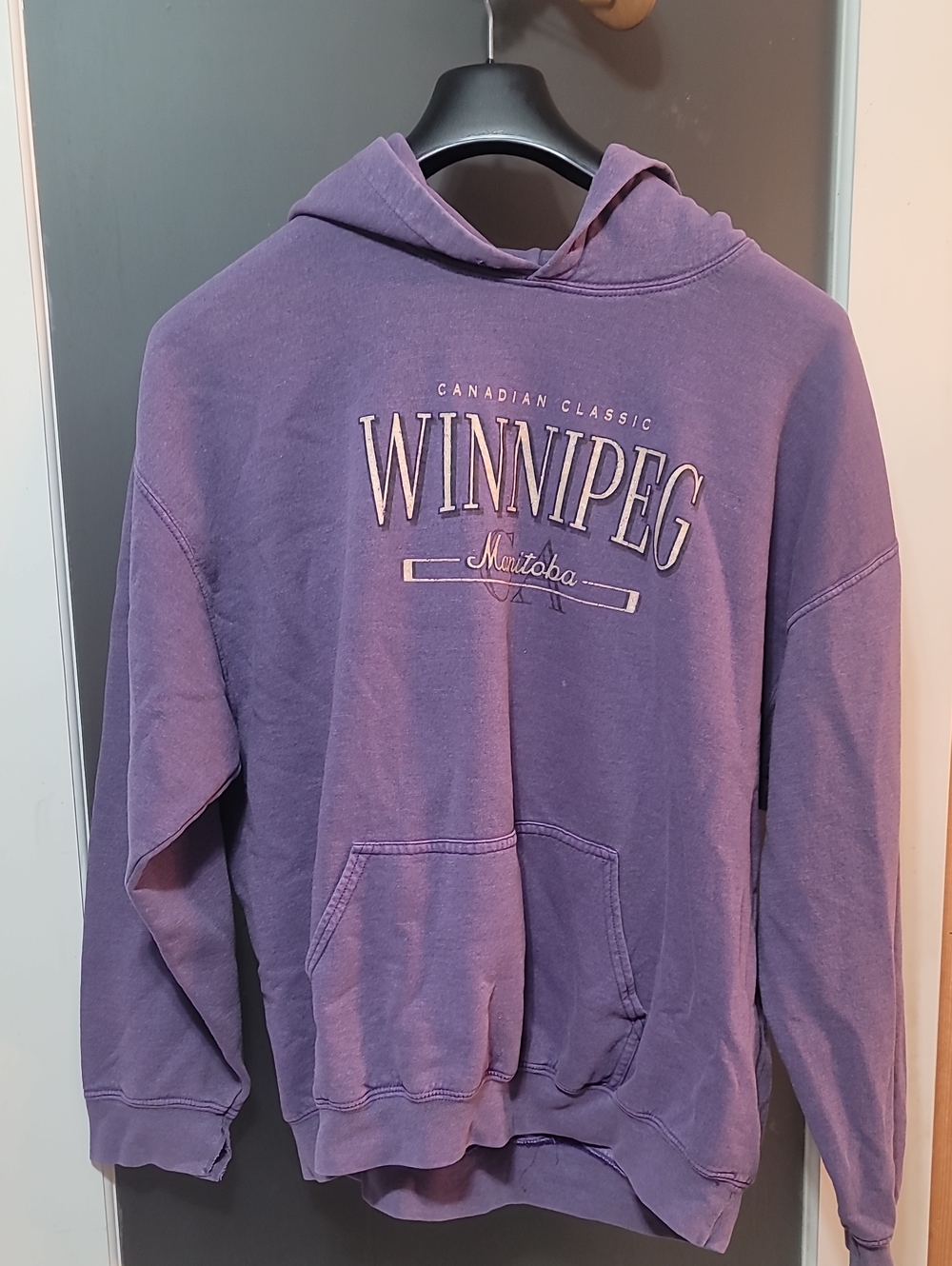 Gildan Purple Winnipeg Graphic Crewneck Sweatshirt